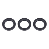 Interpump Oil Seal Kits - ECA Cleaning Ltd