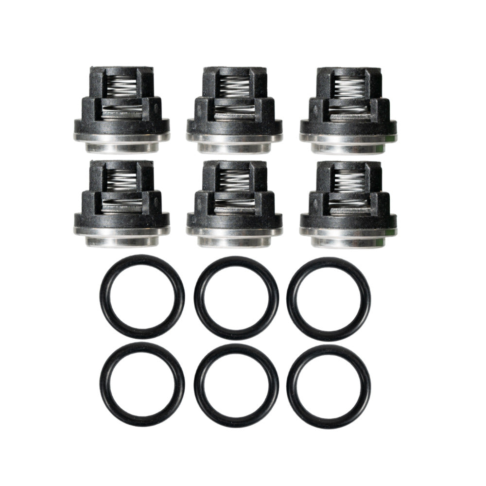 Annovi Reverberi | Valve Kit | 1864