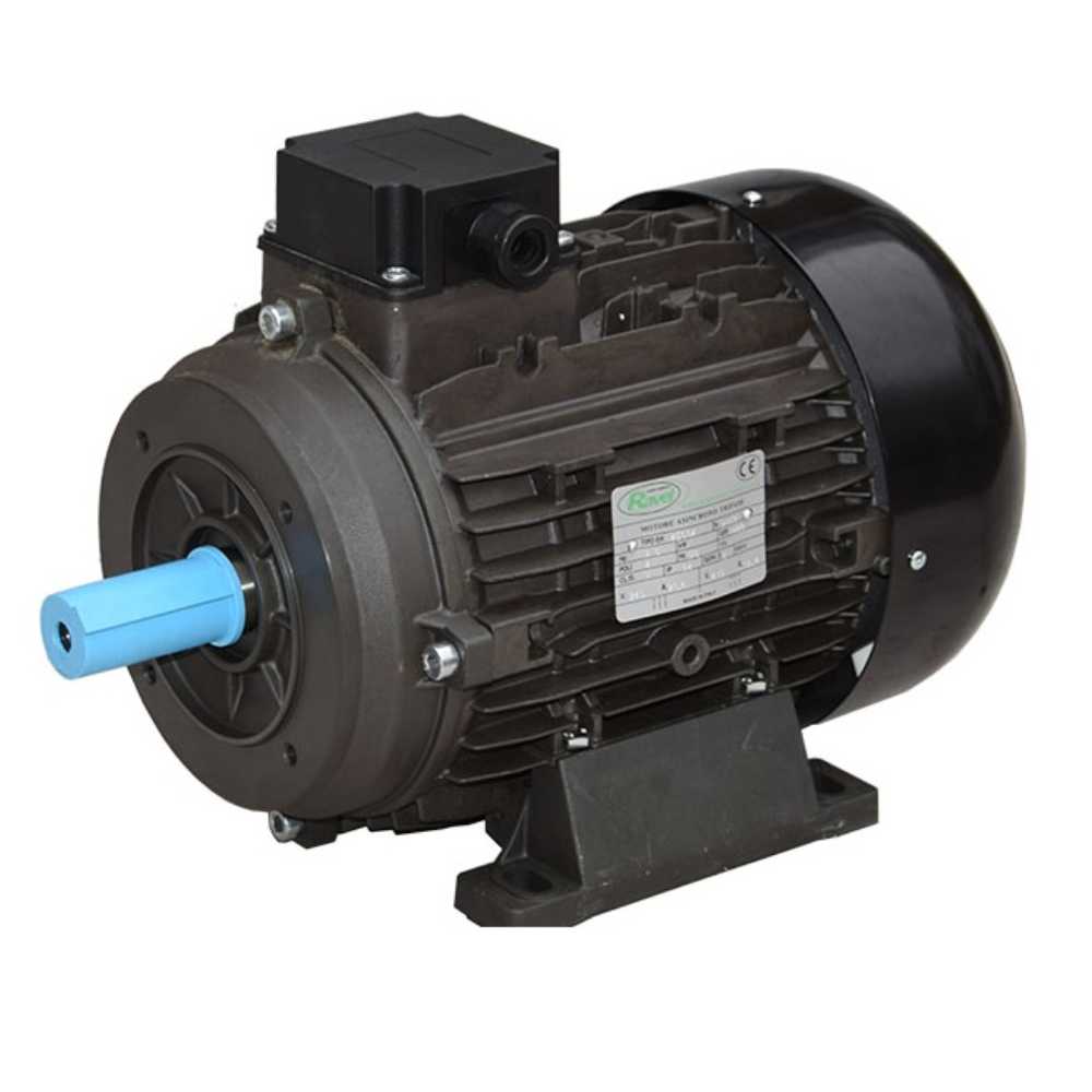 Ravel  Electric Motor | Three Phase | 28 MM Solid Shaft