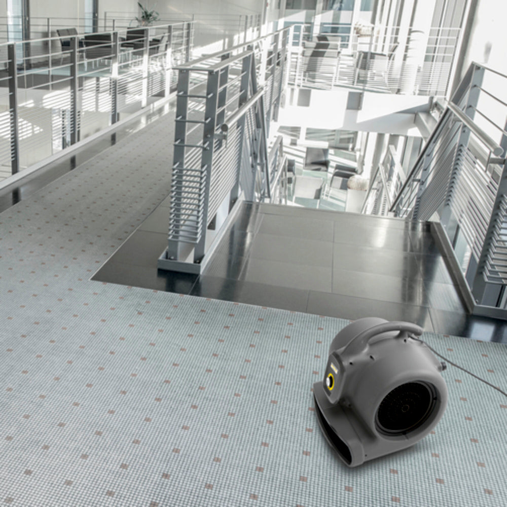 Karcher Carpet Cleaning Bundle | Puzzi 10/1 & Air Blower A B 20