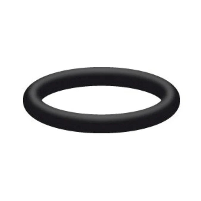Interpump | O-Ring for Valve | 90.3841.00