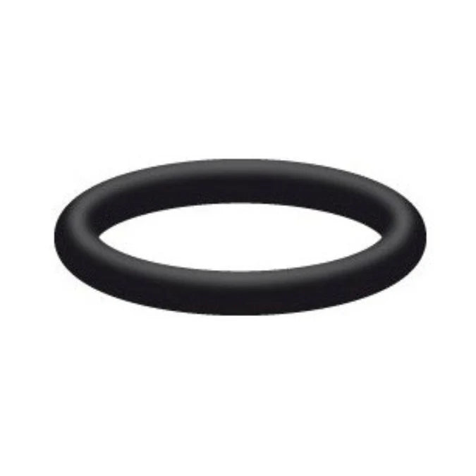 Interpump O Ring | 90.4065.00
