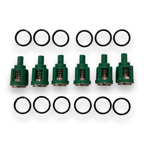 Kranzle | Kranzle Valve Kit | Green | K417481 | K417481 | ECA Cleaning Ltd