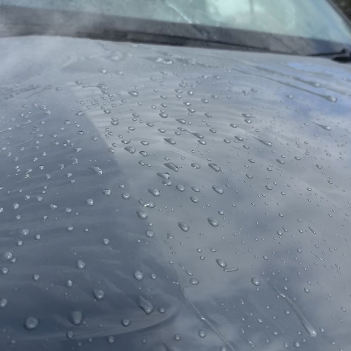 Polymer Wash & Wax Shampoo | 5 Litres